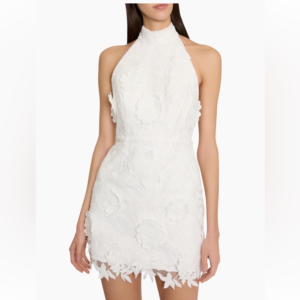Milly Olivia Rose Trellis Lace Dress Ivory Size 4 NWT - Picture 4 of 5
